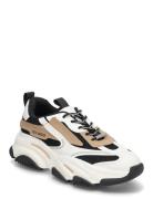 Possession-E Sneaker Patterned Steve Madden