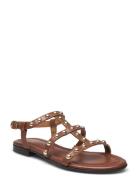 Sandals Brown Billi Bi