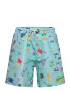 Funny Insects All Over Swim Bermuda Shorts Blue Bobo Choses