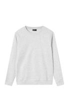 Nlnnizu Ls Bru O-Neck Sweat Noos Grey LMTD