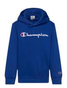 Hooded Sweatshirt Blue Champion