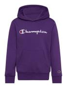 Hooded Sweatshirt Purple Champion