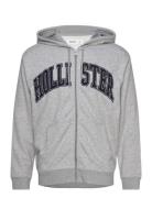 Hco. Guys Sweatshirts Grey Hollister