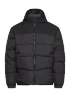 Jjmoon Hood Puffer Black Jack & J S