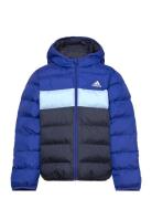 J Sd Jkt Blue Adidas Sportswear