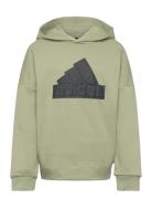 U Fi Logo Hd Khaki Adidas Sportswear