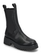 Disclose Ankle Boots Black Steve Madden