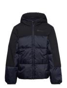 Hooded Jacket Navy Champion