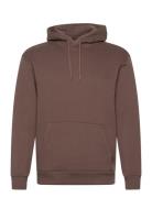 Hco. Guys Sweatshirts Brown Hollister