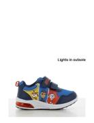 Paw Patrol Sneaker Blue Leomil