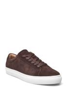 Theodor Suede Sneaker Brown Les Deux