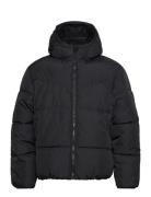 Hco. Guys Outerwear Black Hollister