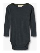 Wool Silk Body L/S Lucca Navy Wheat