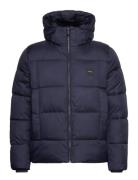 Hooded Quilt Puffer Mw Navy Calvin Klein