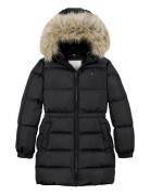 Long Waisted Down Jacket Black Tommy Hilfiger