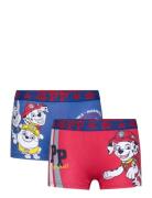 Boxer Red Paw Patrol