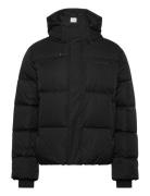 Monogram Puffer Jacket Black Daily Paper