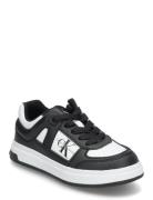 Calvin Klein Jeans Low-Cut Lace-Up Sneaker Black Calvin Klein