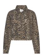 Leopard-Print Denim Jacket Brown Mango