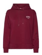 Small Graphic Hoodie Red GANT