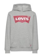 Levi's® Batwing Screenprint Hooded Pullover Grey Levi's