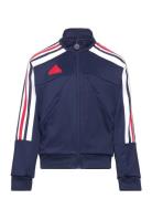 J Np Ttop Navy Adidas Sportswear