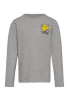 T-Shirt Ls Grey Minymo