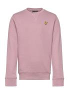 Crew Neck Sweatshirt Pink Lyle & Scott