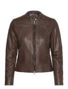 Diora Classic Leather Jacket Brown Jofama