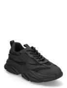 Possess Sneaker Black Steve Madden