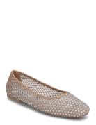 Auden Ballerinas Beige Steve Madden