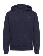 Hco. Guys Sweatshirts Navy Hollister