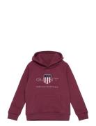 Archive Shield Raglan Hoodie Red GANT