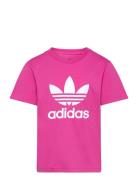 Trefoil Tee Pink Adidas Originals