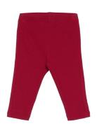 Leggings Rib Newborn Burgundy Lindex