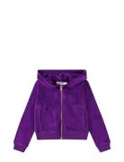 Milla Purple Molo