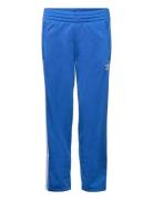 Firebird Pants Blue Adidas Originals