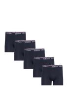 Thomas Vin M Tights 5-Pack Navy VINSON