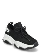 Jprotégé Sneaker Black Steve Madden