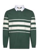 Union Rugby Carter Stripe Bist Green Levi's®