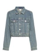 Cropped Denim Jacket Blue Monki