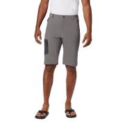 Men's Triple Canyon Shorts City Grey, Shark