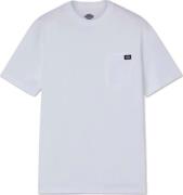 Dickies Men's Cotton T-Shirt White