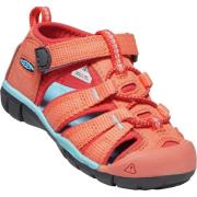 Toddlers' Seacamp II CNX /Poppy Red