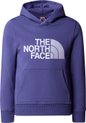 The North Face Boys' Drew Peak Pull-Over Hoodie Cave Blue