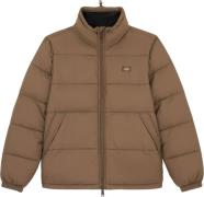 Dickies Men's Waldenburg Jacket Mushroom