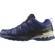 Salomon Men's XA Pro 3D V9 GORE-TEX Blue Print/Surf The Web/Lapis Blue