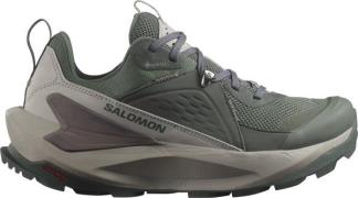 Salomon Women's Elixir GORE-TEX Urban Chic/Flint Gray/Plum Kitten