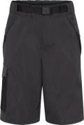 Didriksons Kids' Eken Shorts Graphite