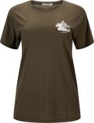 Aclima Women's Lightwool 140 Classic Tee Mountain Tarmac
